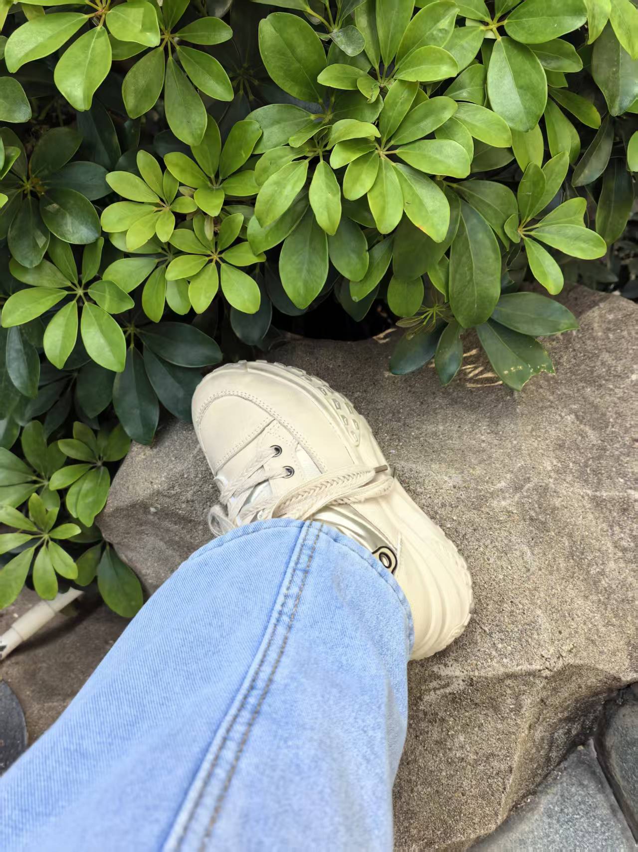 白色运动鞋