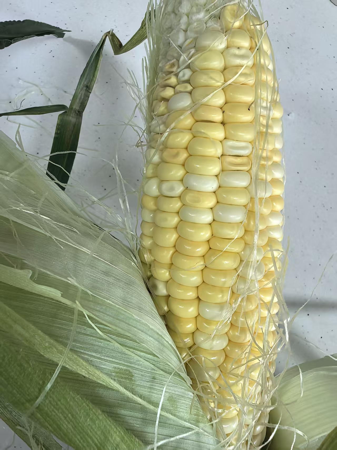 新鲜水果玉米